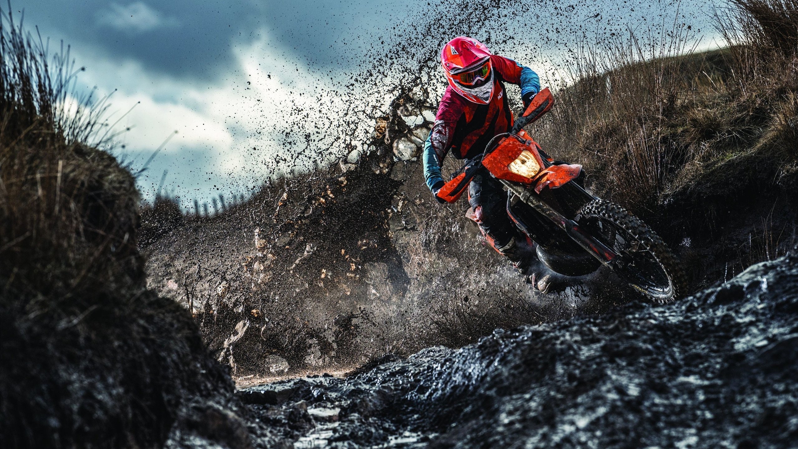 世界杯：心理咨询平台开设“球迷情绪热线” 帮助疏导输球后的郁闷